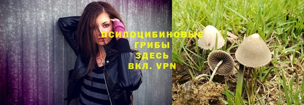a pvp Алексеевка